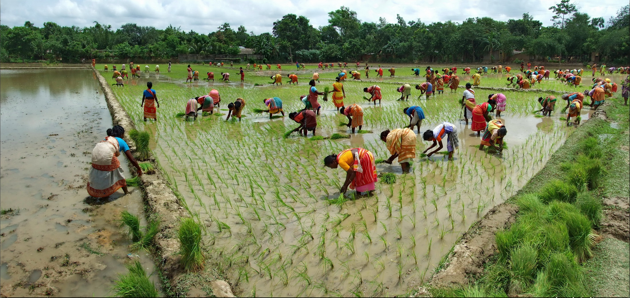 Women working in Bangladesh